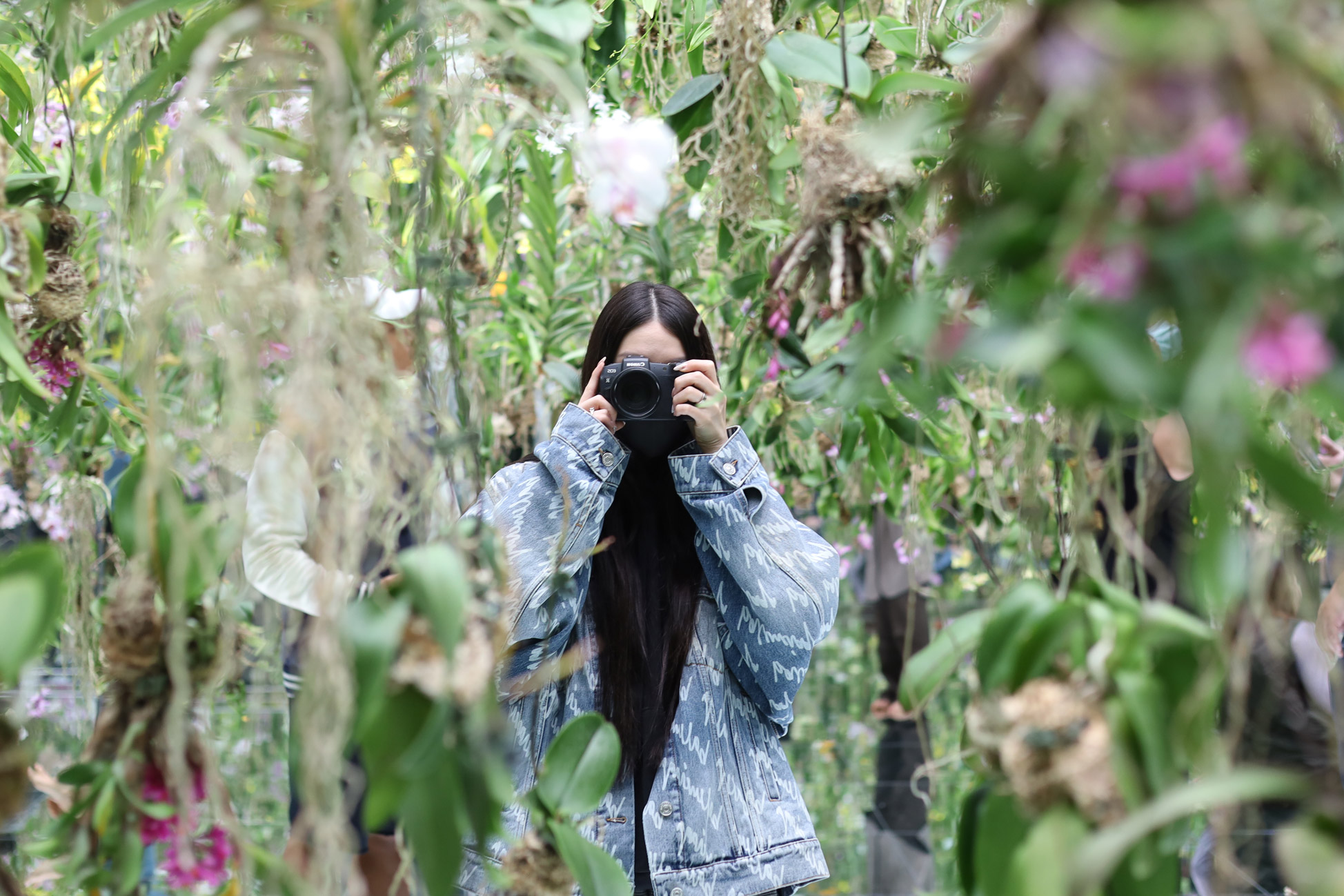 Photography - project image 4